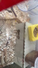 布卡星仓鼠木屑垫料吸水祛味兔子金丝熊龙猫宠物用品原味1kg*2包 实拍图