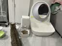 CATLINK自动喂食器猫咪定时定量智能宠物猫粮狗粮不卡冻干投喂器远程控制 喂食器标配版+UF超滤净水机 实拍图