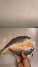 福宁港 醇香黄鱼鲞 宁德黄花鱼 地标产品 深海大黄鱼 鱼类生鲜 海鲜水产 【尝鲜装】黄鱼鲞6条(共1100g) 实拍图