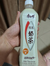康师傅 经典奶茶（炼乳味）500ml*15瓶 茶饮料饮品 实拍图