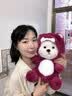 爱布狗泰迪小熊公仔娃娃玩偶毛绒玩具毕业礼物品送同学女孩生日礼物女生 草莓小熊 28cm【明星同款】 实拍图