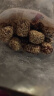 果然之家无核芝麻香酥脆枣128g解馋小零食独立包装 新疆红枣若羌灰枣干  实拍图