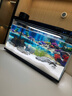 疯狂水草孔雀鱼活体水族宠物观赏鱼冷水耐活小型热带鱼淡水鱼苗 【混养套餐】孔雀鱼+神仙 实拍图