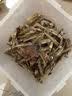 瓜洲牧小鱼干猫咪零食宠物无盐幼猫增肥补钙磨牙猫粮河虾冻干多春鱼 大桶囤货【升级款半桶装500g】 实拍图