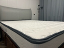 金丝海马床垫海马床垫天然乳胶独立弹簧床垫席梦思环保椰棕软硬两用可拆洗 薄款厚15适中:独立弹簧+乳胶+棕 1500*2000 实拍图