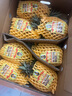 徐闻凤梨金钻十七号 甘蔗凤梨 芒果凤梨 新鲜水果菠萝特产礼箱装 金钻大果18斤装（5-7个） 实拍图