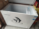 荣事达（Royalstar）冰柜商用大容量全冷冻卧式冰柜家用冷藏冷冻两用冷柜双温商用大冰柜冷冻柜展示柜 248升单温【一级能效】 实拍图