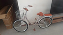 飞鸽 成人自行车女士轻便上班代步复古款通勤单车大学生女式单车 【大芭蕾】单速/暖灰色/高配礼包 24英寸|密封中轴身高145-165cm 实拍图