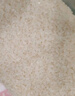 金龙鱼 大米 乳玉皇妃 凝玉稻香贡米东北大米梗米一级 2.5kg 1袋 实拍图