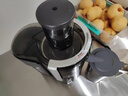 瑟诺（SERO） 商用榨汁机家用渣汁分离自动炸蔬菜水果汁机餐厅食堂酒店吧生姜椰子原汁蓉SJ-F50S 实拍图
