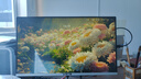 美祥万能电视机遥控器通用适用小·米创维康佳TCL雷鸟海尔海信三星长虹启客LG乐视索尼松下飞利浦酷开 全品牌通用型(红外全兼容) 实拍图