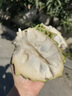沐小七果蔬 泰国牛奶释迦果礼盒装【可送货上门】释迦果中秋节礼品水果礼盒 净重3斤装【20%选择-很划算】 20年老树 大果【单果约280g+】 实拍图