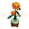 乐高（LEGO）积木玩具 花植系列10368黄金菊 18岁+生日新年礼物礼物 实拍图