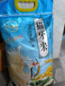 当季产地正宗优质猫牙米煲仔饭炒饭专用米新籼米长粒香软大米 猫牙米5KG 实拍图