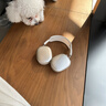 犀狼【官网正品｜Max2代高定版】Air蓝牙耳机适用苹果头戴式无线iPhone主动降噪高音质ios游戏通话耳麦 【苹果银】PodsMax2代全功能 Pro级主动降噪｜送智能耳机套 实拍图