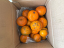 柏馋广西沃柑新鲜纯甜橘子当季时令水果桔子柑橘应季整箱正宗当季 精选5斤净重4.5斤 中果55-65mm 实拍图
