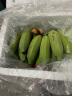 闽农语果正宗广西苹果蕉新鲜美味现摘新鲜香甜软糯小香蕉小米蕉需催熟香蕉 【量少尝鲜】净重 3斤 /需催熟 实拍图