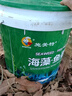 施美特海藻鱼蛋白桶装水溶肥料冲施肥生根壮苗剂膨果根多多 海藻鱼蛋白20公斤*1桶（到乡镇） 实拍图