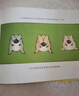 神奇颠倒书 国际绘本大师作品（美国“玩具书之父”幽默儿童绘本作家彼得 纽维尔经典力作）糖果鱼童书出品 实拍图