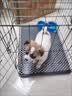 狗笼子室内带厕所分离家用便携中型犬小型犬笼子泰迪比熊狗笼 珍珠黑-笼子+接便盘 61*42*50(20斤以内） 实拍图