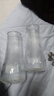 玻璃花瓶透明植物插花瓶水培容器大花瓶装饰客厅摆件 透明竖条纹（17*5.5*8） 2个装 实拍图