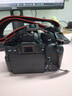 佳能（Canon）EOS 750D 760D 800D 850D 77D 二手单反相机高清数码照相机 99新 750D EF 18-55mm STM 标配【无内存卡等配件，套餐更划算】 99新 实拍图
