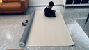 尊潮仿羊毛客厅地毯可定制大尺寸防水防污垫简约轻奢风格免洗卧室房间 白色 300cm*200cm 1件 实拍图