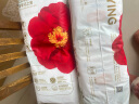 宜婴弱酸红山茶花3XL60片+2片拉拉裤小内裤【品牌直供 安心品质】 实拍图