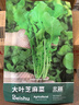 北蔬 芝麻菜种子种苗臭菜火箭生菜四季小青菜种籽 大叶芝麻菜种子10g 实拍图