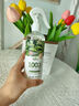 鹰王除螨喷雾300ml无香 免洗植物防尘螨皂包螨立净床上贴除螨虫喷雾剂 实拍图