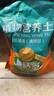 德沃多肥料3L植物营养土通用园艺盆栽养花土壤多肉绿萝种植土花卉绿植泥炭土 实拍图