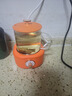 金灶（KAMJOVE） 小巧养生杯养生壶迷你电热水杯煮茶器煮茶壶花茶杯水杯办公室家用多功能保温电炖杯 活力橙 0.4L 实拍图