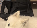 DO DO PET宠物车载笼猫笼狗笼可折叠大中小型犬狗狗宠物笼猫狗坐车隔离笼子 黑色-四面网布开口款 M码（66×45×45cm）全车型后排 实拍图