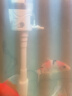 金利佳（Jeneca）鱼缸过滤器三合一吸水泵滤盒水族箱上滤上置循环过滤槽壁挂增氧 【小号白色四件套】适长35-42cm 实拍图