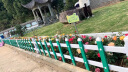 pvc塑钢草坪护栏花园围栏市政绿化带隔离栅栏户外栏杆菜园篱笆栏 【特厚款】0.3米高*3米宽 晒单实拍图