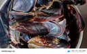 遇上鲜 舟山新鲜淡菜 海鲜 嵊泗海虹贻贝青口贝 净重6.5斤 源头直发 实拍图
