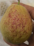 探味君 广西红心芭乐番石榴 新鲜水果生鲜健康轻食带箱 软糯红白双拼芭乐净重2.8斤 实拍图