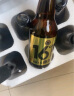 黑狸16度卡斯卡特精酿原浆啤酒整箱 高度全麦黄啤 16度卡斯卡特原浆啤酒 330ml*6 实拍图