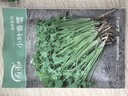 寿禾 小香芹菜种子苗四季盆栽种植蔬菜种籽 潍丰香洋香芹种子12g 实拍图