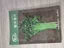 寿禾 小香芹菜种子苗四季盆栽种植蔬菜种籽 潍丰香洋香芹种子12g 实拍图
