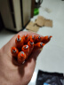 宠物火腿肠  零食通用香肠礼包 狗粮主粮伴侣 15g/支 10根【火腿肠】散装 实拍图