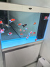 汉霸超白玻璃鱼缸 生态底滤循环系统 鱼缸客厅 家用智能懒人 水族箱 银+白 屏风款1.0米长x40cm宽x75cm+80cm高 实拍图