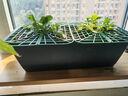 德沃多肥料霍伦种菜花盆小号(黑色)*2家庭育苗盆长方形种植多肉箱阳台种菜箱 实拍图