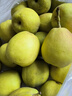 绿熊庄园正宗新疆库尔勒香梨酥脆甜多汁冰糖雪梨丑梨子果蔬生鲜水果礼盒装 24枚 单果70g-100g蛋托礼盒装 实拍图