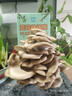 IAM City Farmer秀珍菇蘑菇种植可食用菌包菌种新鲜蘑菇套装配喷壶生长快10140 实拍图