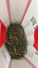 安赛瑞 园艺小铲子 阳台种花多肉松土户外赶海挖洞工具 宽铲 5J00318 实拍图
