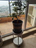 九千谷花架北欧带轮花架子落地式室内客厅阳台塑料置物架两层大号2928 实拍图