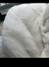 紫优晗新疆纯棉花一级优质填充物散装长绒棉絮新棉花被子棉花精梳棉胎被 新疆长绒棉 三斤一卷（2*2.3米） 实拍图