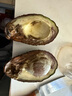牛油果先生牛油果先生（轻食）秘鲁应季当季水果原装整箱进口牛油果（熟果） 中果18个装（单果重130g+） 熟果 实拍图