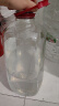 劲牌中国劲酒35度5升约10斤装 35度 5L 1瓶 劲牌劲酒5升约10斤 实拍图